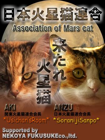 日本火星猫連合 - コピー.jpg