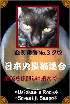 日本火星猫連合会員番号No.3 クロ - コピー.jpg