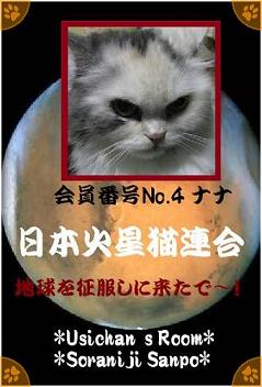 日本火星猫連合会員番号No.4 ナナ - コピー.jpg